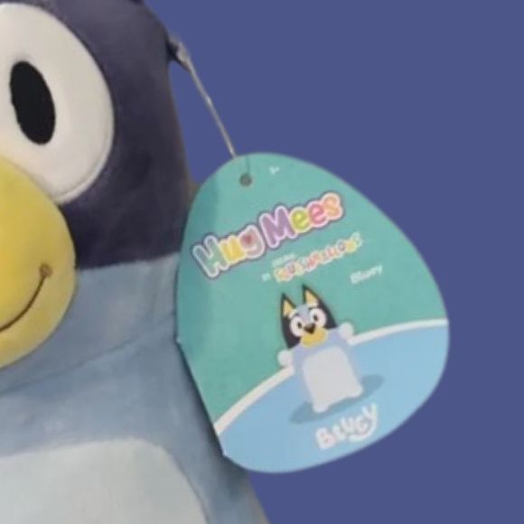 NWT Disney Bluey & Bingo HugMee Squishmallows 10" - Picture 3 of 8